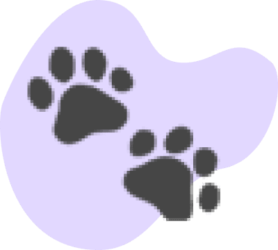 看见隐藏的轨迹